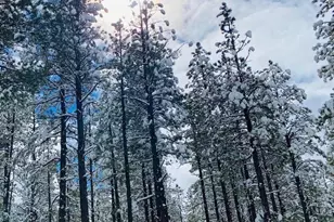 6578 Pinto Cir, Pinetop, AZ 85935 - Photo 45