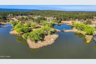 Xxx Larson Road, Lakeside, AZ 85929 - Photo 3