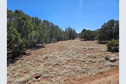 Tbd N8060, Concho, AZ 85924 - Photo 9