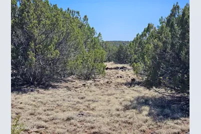 Tbd N8060, Concho, AZ 85924 - Photo 15