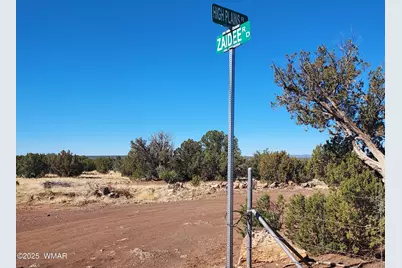 Tbd High Plains Rd, Show Low, AZ 85901 - Photo 3