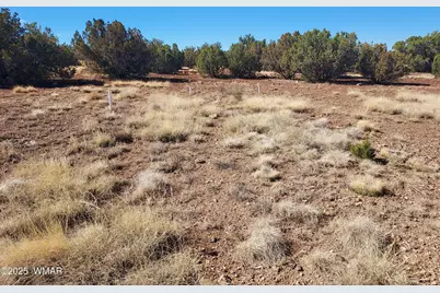 Tbd High Plains Rd, Show Low, AZ 85901 - Photo 5
