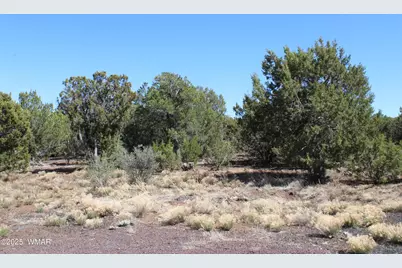 28 County Road N3099, Vernon, AZ 85940 - Photo 9