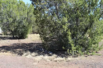 28 County Road N3099, Vernon, AZ 85940 - Photo 5