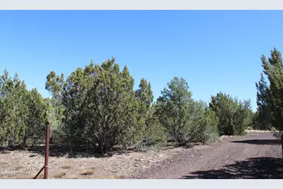 28 County Road N3099, Vernon, AZ 85940 - Photo 3
