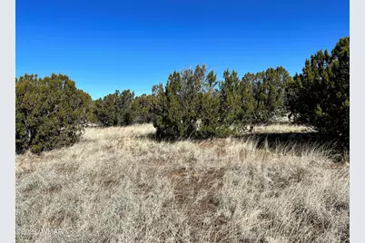 Lot 49 Windsor Valley Ranch, Concho, AZ 85924 - Photo 3