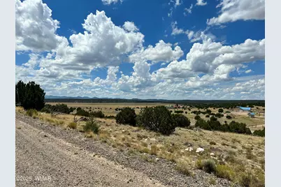 Lot 49 Windsor Valley Ranch, Concho, AZ 85924 - Photo 7