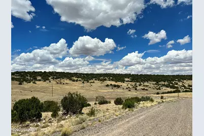 Lot 49 Windsor Valley Ranch, Concho, AZ 85924 - Photo 5