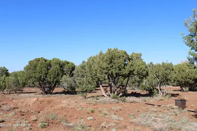 113 County Road 8092, Concho, AZ 85924 - Photo 19