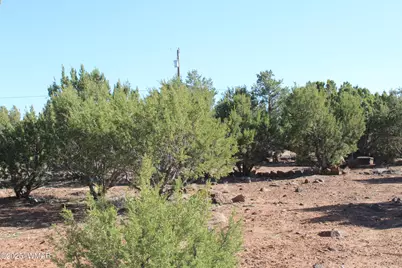 113 County Road 8092, Concho, AZ 85924 - Photo 27