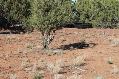 113 County Road 8092, Concho, AZ 85924 - Photo 25