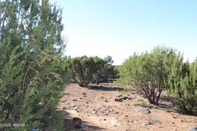 113 County Road 8092, Concho, AZ 85924 - Photo 17