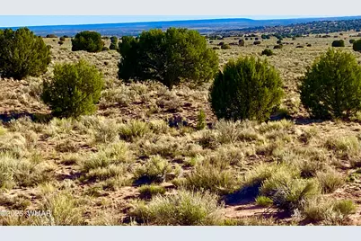 River Meadows Ranch Unit 3 Lot 204, Concho, AZ 85924 - Photo 9