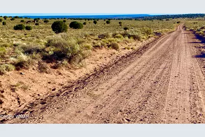 River Meadows Ranch Unit 3 Lot 204, Concho, AZ 85924 - Photo 11