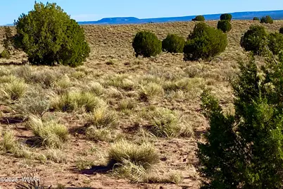 River Meadows Ranch Unit 3 Lot 204, Concho, AZ 85924 - Photo 3