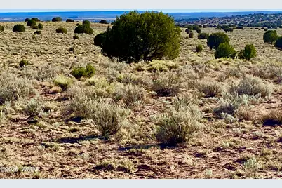 River Meadows Ranch Unit 3 Lot 204, Concho, AZ 85924 - Photo 17