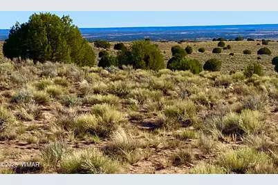 River Meadows Ranch Unit 3 Lot 204, Concho, AZ 85924 - Photo 13