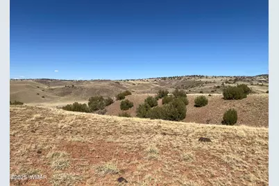 Tbd County Road N5335, Concho, AZ 85924 - Photo 1