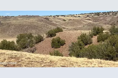 Tbd County Road N5335, Concho, AZ 85924 - Photo 3