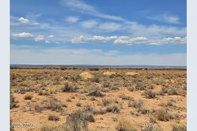 Tbd N Clyde Road, Snowflake, AZ 85937 - Photo 9