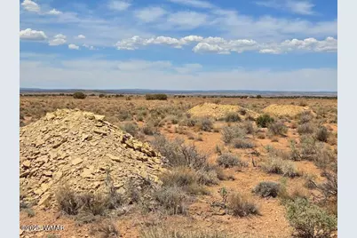 Tbd N Clyde Road, Snowflake, AZ 85937 - Photo 5