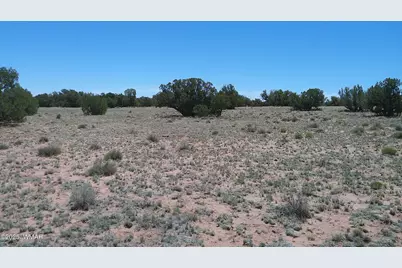 Tbd Rio Ranch, Concho, AZ 85924 - Photo 29