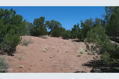 Tbd Rio Ranch, Concho, AZ 85924 - Photo 23
