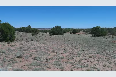 Tbd Rio Ranch, Concho, AZ 85924 - Photo 5