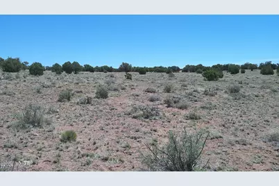 Tbd Rio Ranch, Concho, AZ 85924 - Photo 15