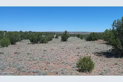 Tbd Rio Ranch, Concho, AZ 85924 - Photo 9