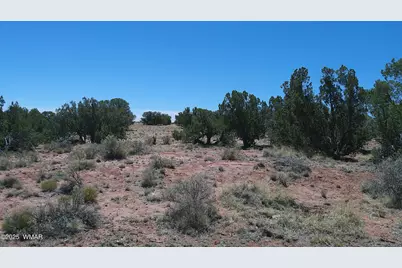 Tbd Rio Ranch, Concho, AZ 85924 - Photo 27