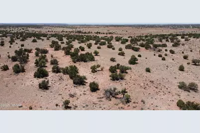Tbd Rio Ranch, Concho, AZ 85924 - Photo 39