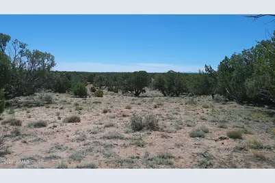 Tbd Rio Ranch, Concho, AZ 85924 - Photo 25