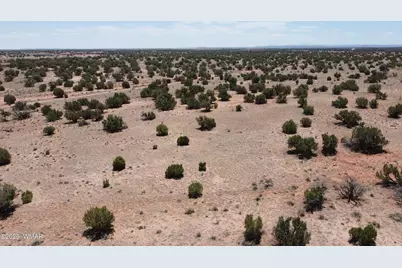 Tbd Rio Ranch, Concho, AZ 85924 - Photo 41