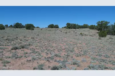 Tbd Rio Ranch, Concho, AZ 85924 - Photo 7