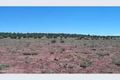 Tbd Rio Ranch, Concho, AZ 85924 - Photo 17