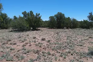 Tbd Rio Ranch, Concho, AZ 85924 - Photo 1