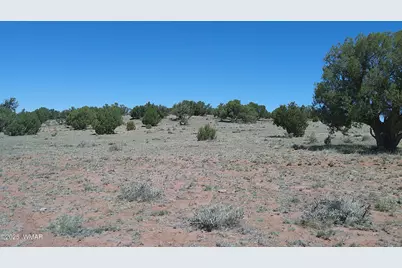 Tbd Rio Ranch, Concho, AZ 85924 - Photo 11