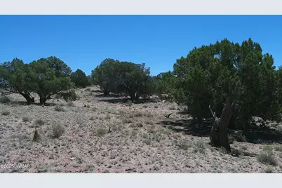 Tbd Rio Ranch, Concho, AZ 85924 - Photo 21