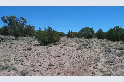 Tbd Rio Ranch, Concho, AZ 85924 - Photo 19