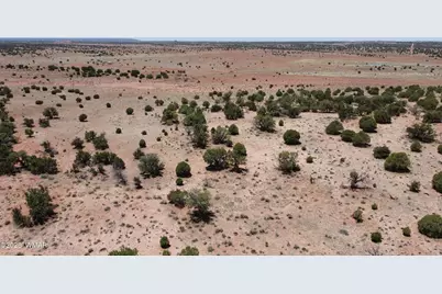 Tbd Rio Ranch, Concho, AZ 85924 - Photo 43