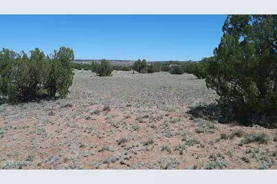 Tbd Rio Ranch, Concho, AZ 85924 - Photo 31