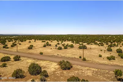 8770 Supancheck Road, Show Low, AZ 85901 - Photo 11