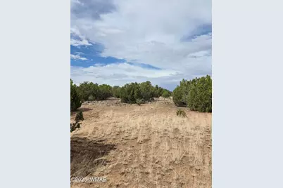 8770 Supancheck Road, Show Low, AZ 85901 - Photo 17