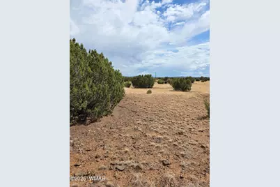 8770 Supancheck Road, Show Low, AZ 85901 - Photo 15