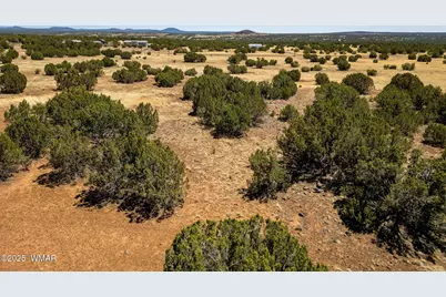 8770 Supancheck Road, Show Low, AZ 85901 - Photo 1