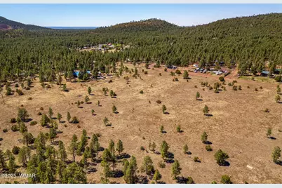 9321 Mountain Meadow Lane, Lakeside, AZ 85929 - Photo 11