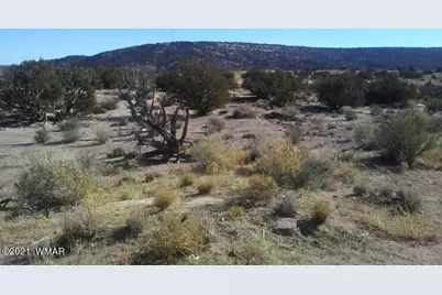 4596 El Dorado Road, Snowflake, AZ 85937 - Photo 9