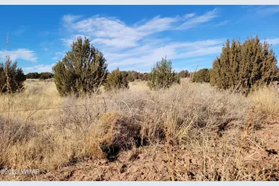 4596 El Dorado Road, Snowflake, AZ 85937 - Photo 29
