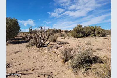 4596 El Dorado Road, Snowflake, AZ 85937 - Photo 27